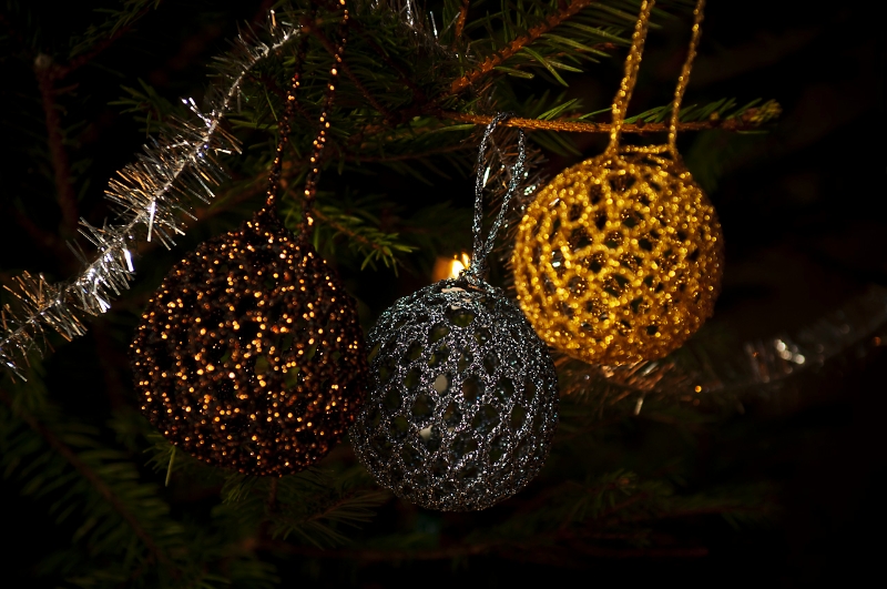Koriste11 1280px.jpg